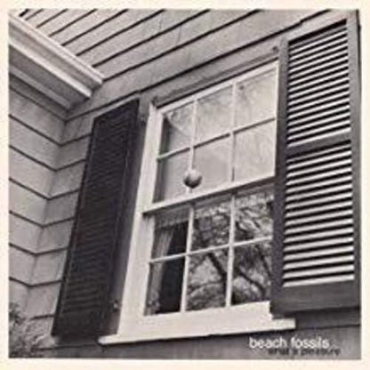 Beach Fossils - What A Pleasure (12-Inch Vinyl EP) - Joco Records