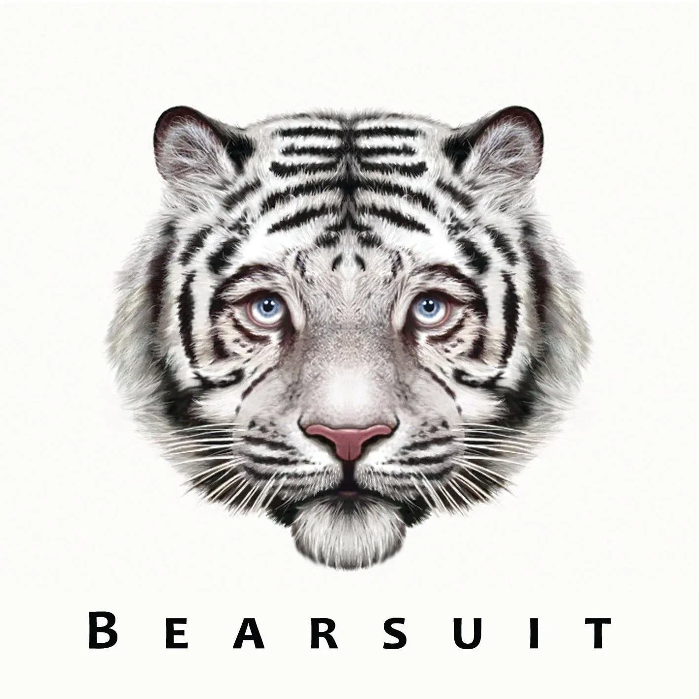Bearsuit - The Phantom Forest (LP) - Joco Records