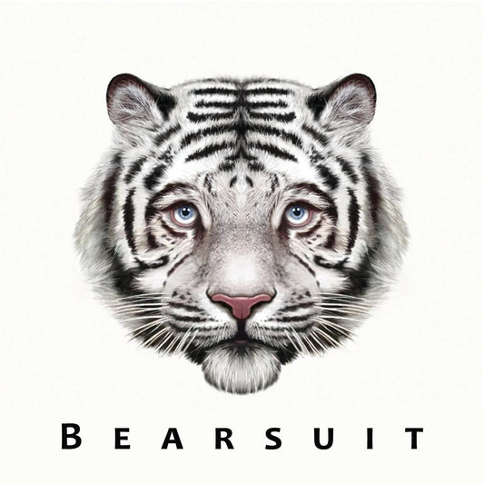 Bearsuit - The Phantom Forest (LP) - Joco Records