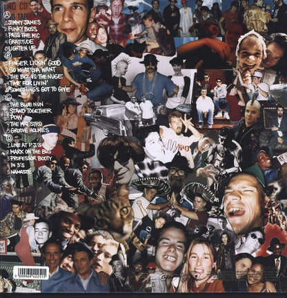 Beastie Boys - Check Your Head (Remastered, Gatefold, 180 Gram) (2 LP) - Joco Records