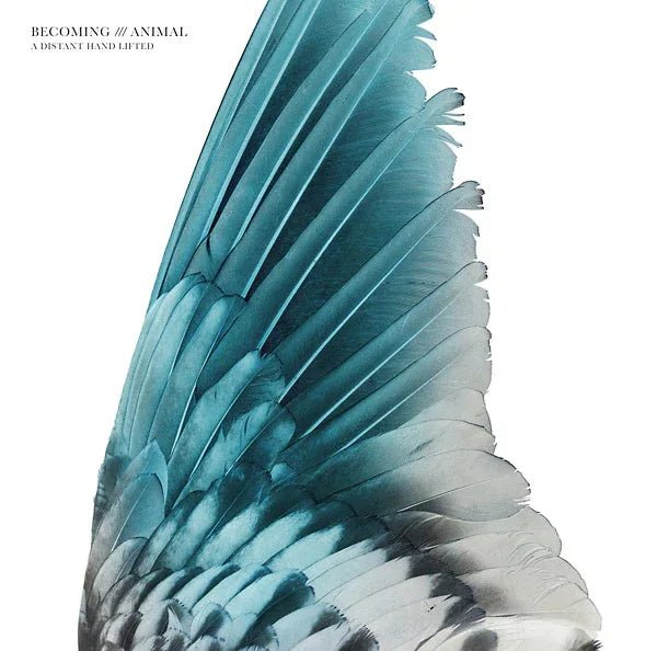 Becoming Animal - A Distant Hand Lifted (LP) - Joco Records