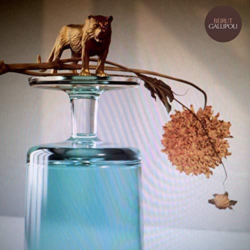 Beirut - Gallipoli (LP) - Joco Records