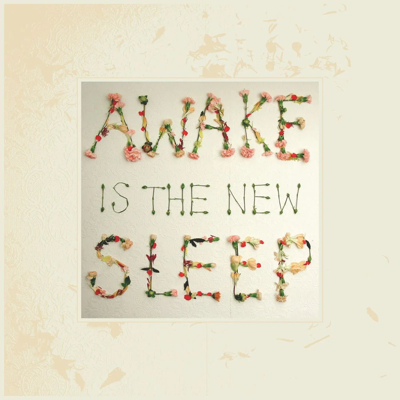 Ben Lee - Awake Is The New Sleep (2 LP) - Joco Records