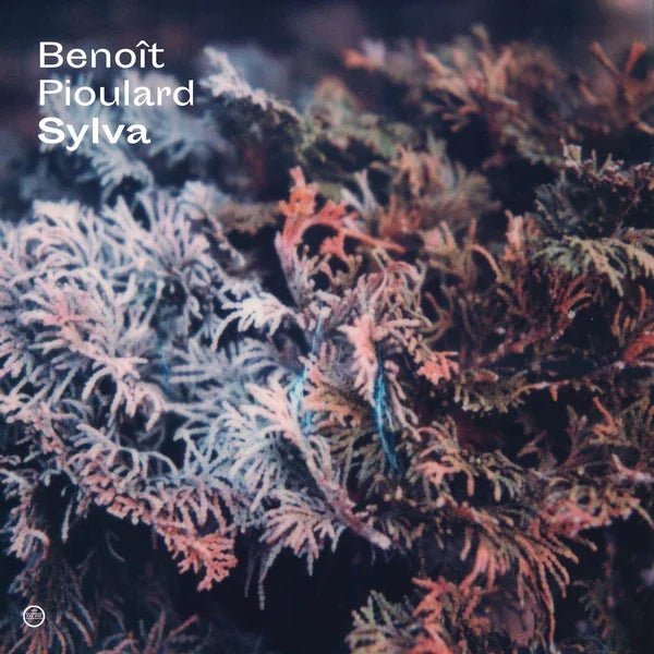 Benoit Pioulard - Sylva (LP) - Joco Records
