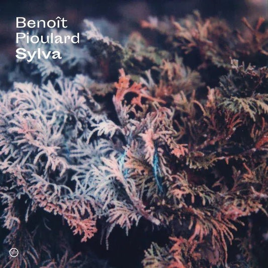 Benoit Pioulard - Sylva (LP) - Joco Records