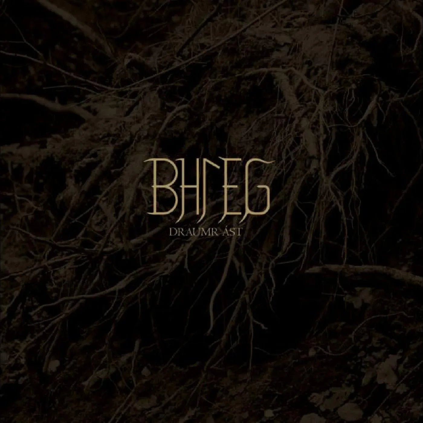 Bhleg - Draumr ¡St (LP) - Joco Records