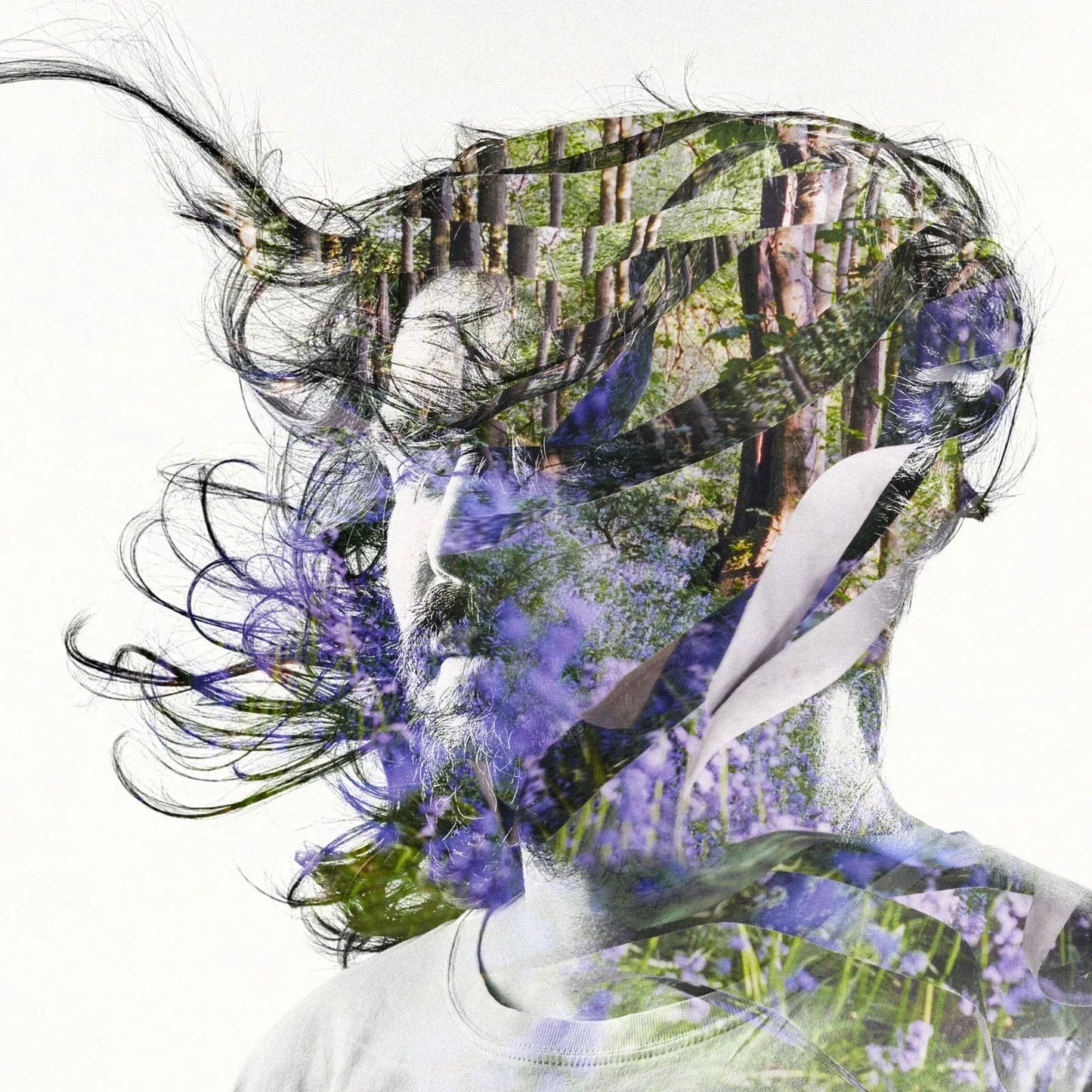 Bibio - Ribbons (2 LP) - Joco Records