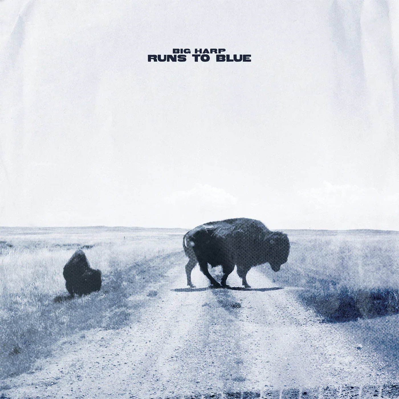 Big Harp - Runs To Blue (Opaque Blue Vinyl) (6 LP) - Joco Records