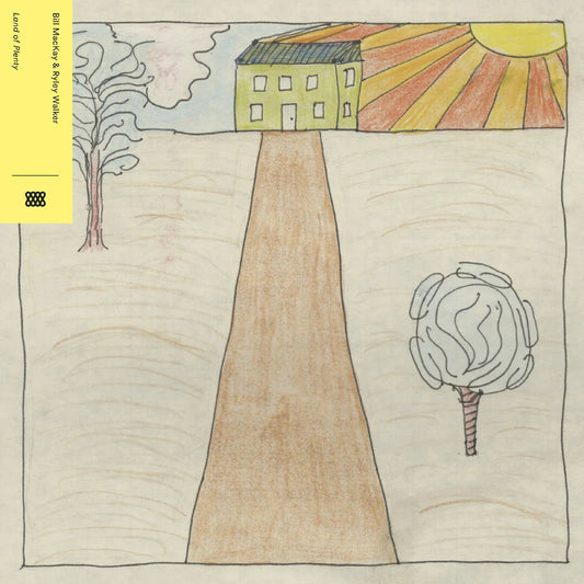 Bill MacKay and Ryley Walker - Land Of Plenty (LP) - Joco Records