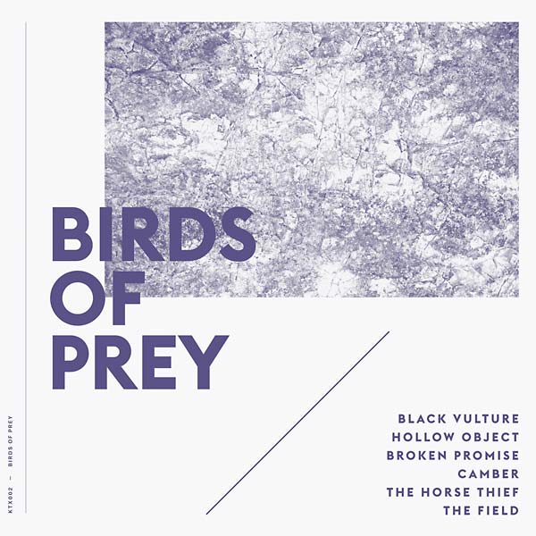 Birds Of Prey - Birds Of Prey (LP) - Joco Records