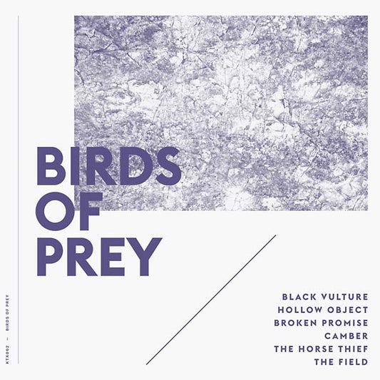 Birds Of Prey - Birds Of Prey (LP) - Joco Records