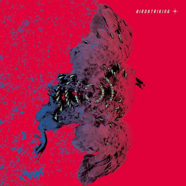 Birdstriking - Birdstriking (2 LP) - Joco Records