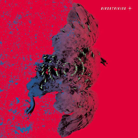Birdstriking - Birdstriking (2 LP) - Joco Records