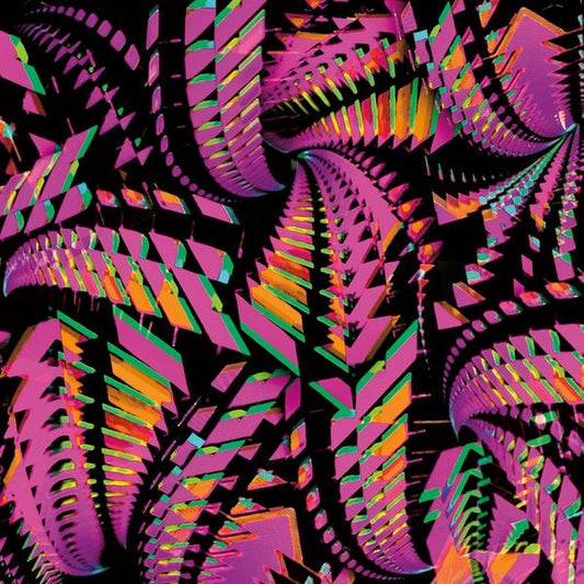 Bitchin Bajas - Bajascillators (2 LP) - Joco Records