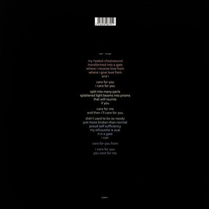 Bjork - Gate (45 RPM) (12-Inch Vinyl Single) - Joco Records
