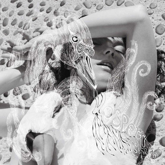 Bjork - Vespertine (Limited Import, Gatefold, 180 Gram) (2 LP) - Joco Records