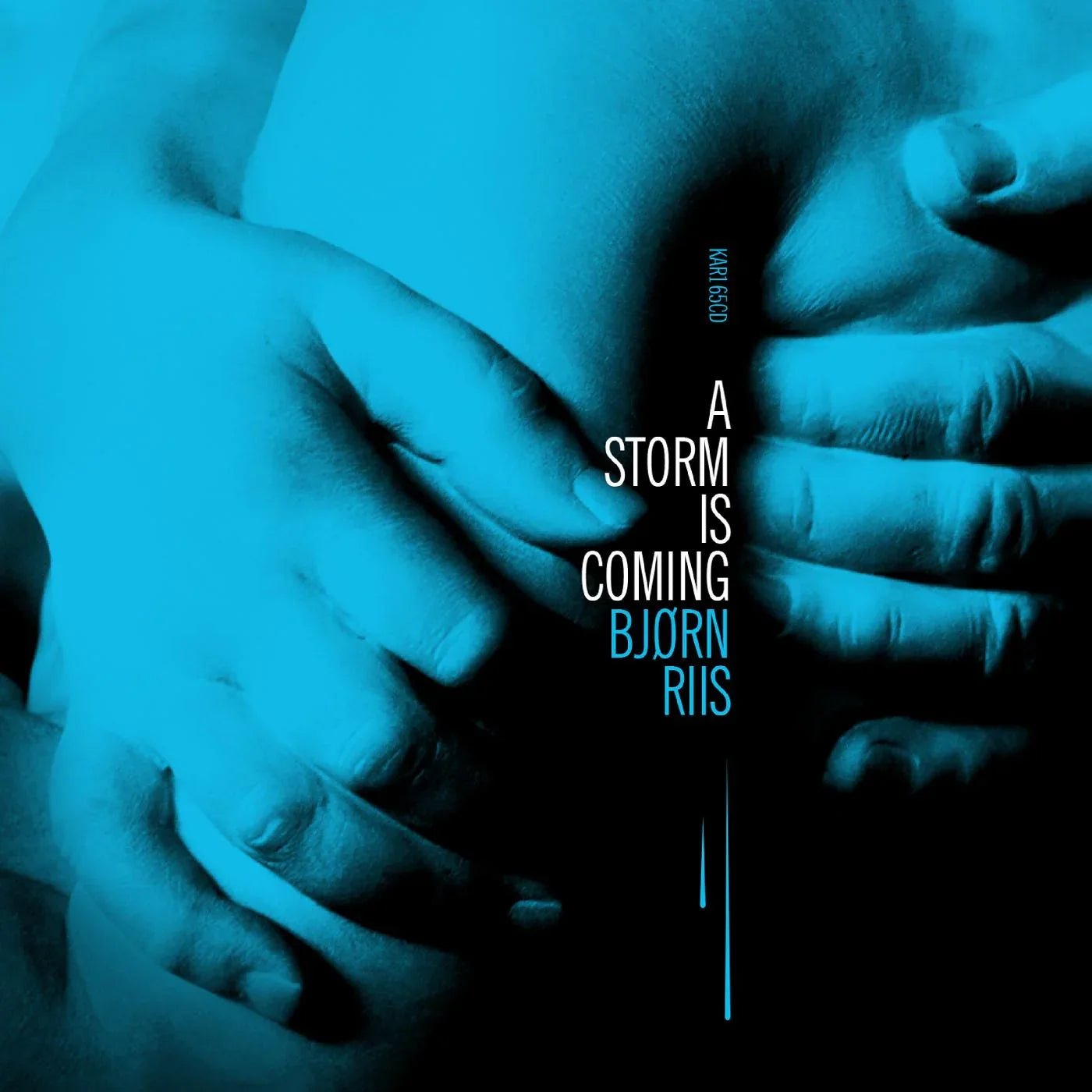Bjorn Riis - A Storm Is Coming (LP) - Joco Records