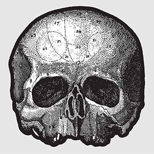 Black Label Society - Black Pearl 10” (Die Cut Skull Pic Disc) (10-Inch Vinyl) - Joco Records