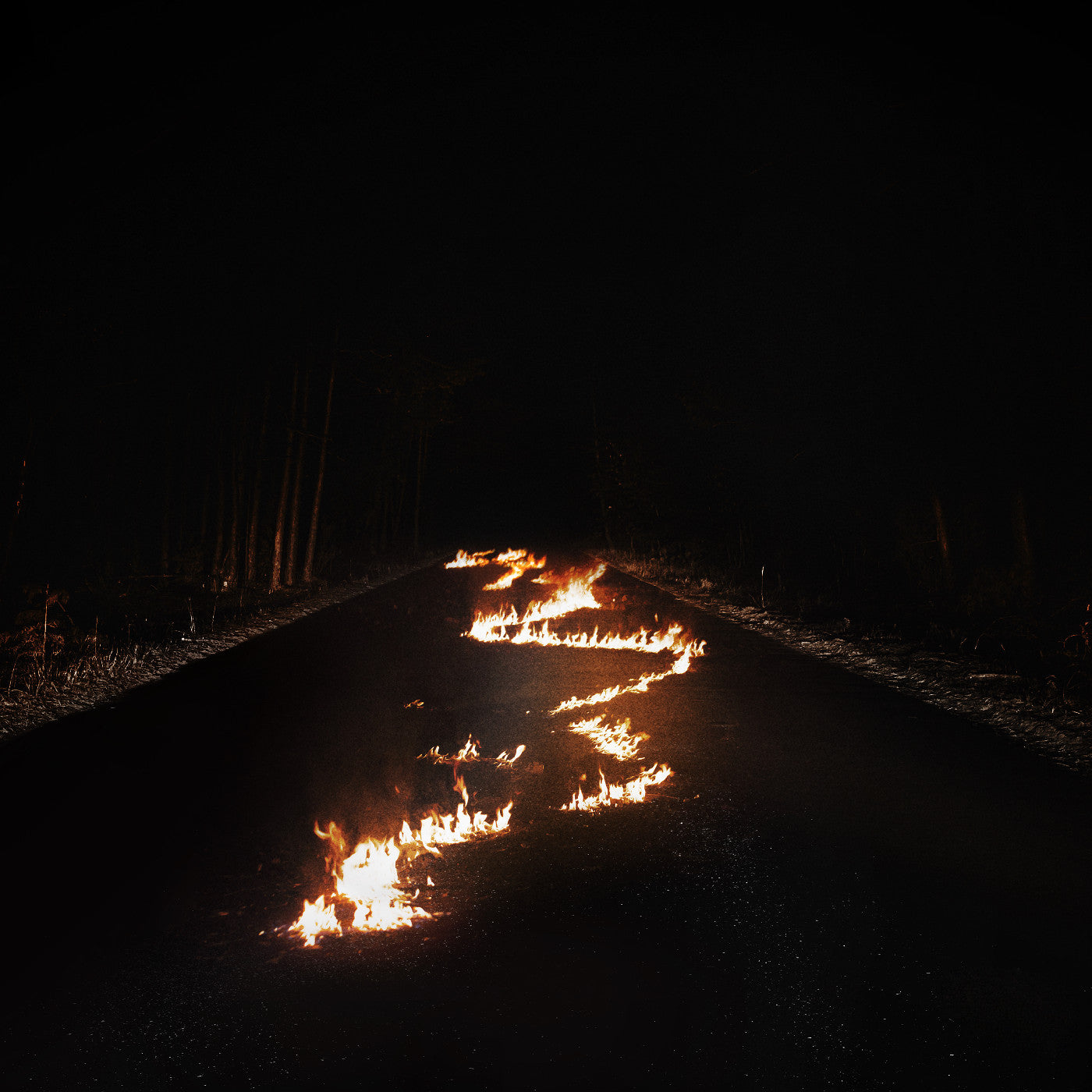 Bob Moses - Battle Lines (Indie Exclusive, Clear Vinyl)