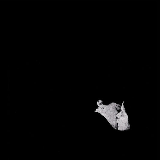 Bob Moses - Days Gone By (2 LP) - Joco Records