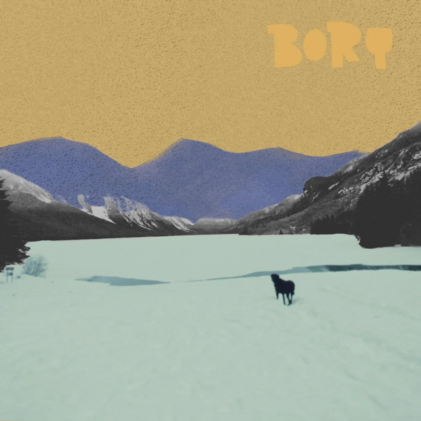 Bory - Who's A Good Boy (LP) - Joco Records