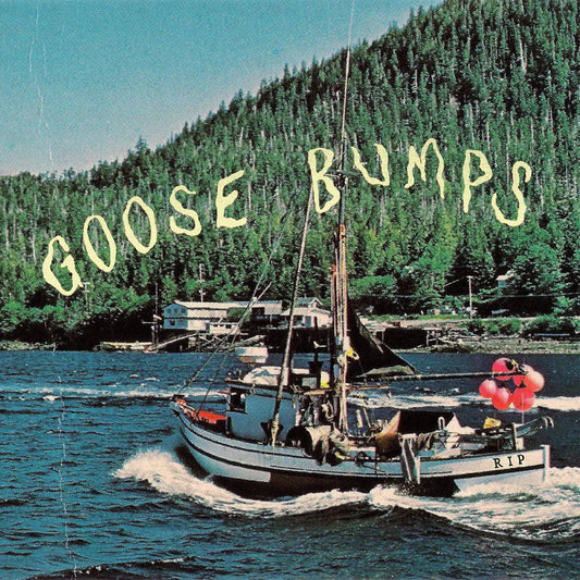 Boyscott - Goose Bumps (Bluue Marble Vinyl) (LP) - Joco Records