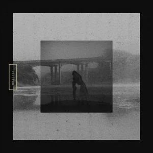Braille - Mute Swan (LP) - Joco Records