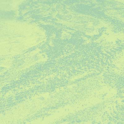 Brett Naucke - Seed (LP) - Joco Records