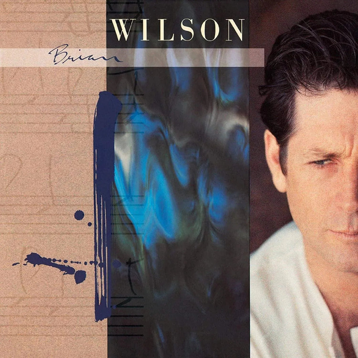 Brian Wilson - Brian Wilson (180 Gram, Blue Vinyl, Clear Vinyl, Limited Edition) (2 LP) - Joco Records