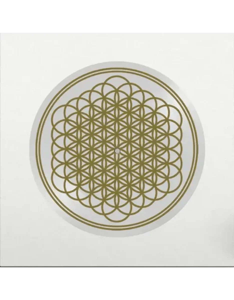 Bring Me the Horizon - Sempiternal (Indie Exclusive, Picture Disc Vinyl) (LP) - Joco Records