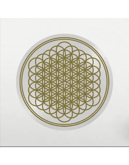 Bring Me the Horizon - Sempiternal (Indie Exclusive, Picture Disc Vinyl) (LP) - Joco Records