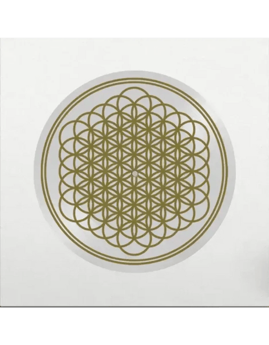 Bring Me the Horizon - Sempiternal (Indie Exclusive, Picture Disc Vinyl) (LP) - Joco Records