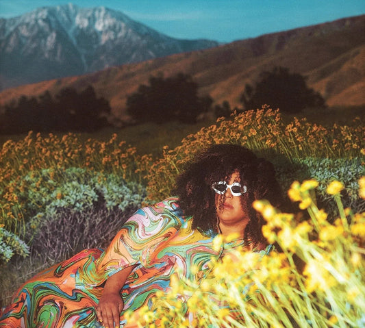 Brittany Howard - What Now (Translucent Lemonade) (LP) - Joco Records