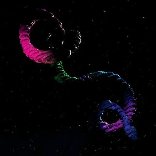 Brogan Bentley - The Snake (LP) - Joco Records
