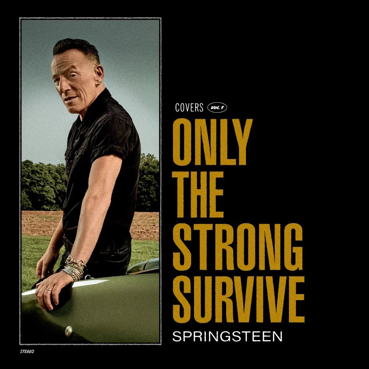 Bruce Springsteen - Only The Strong Survive (Nightshade Green Vinyl) (2 LP) - Joco Records