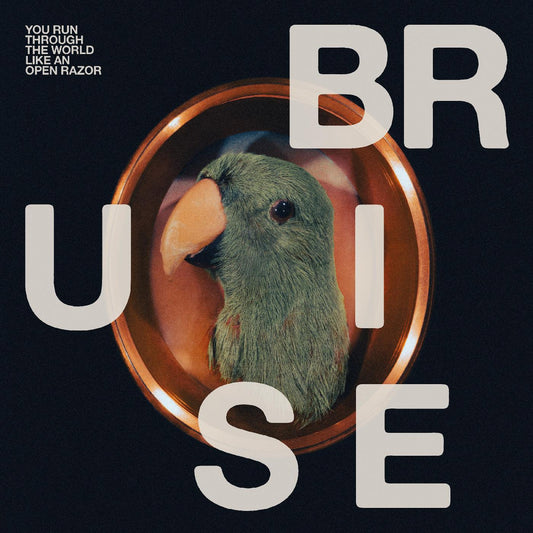 Bruise Blood - You Run Through The World Like An Open Razor (Vinyl) - Joco Records