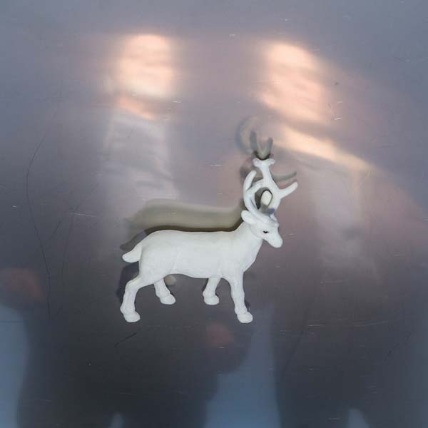 Buck Gooter - Stainless Steel Mirrors (LP) - Joco Records