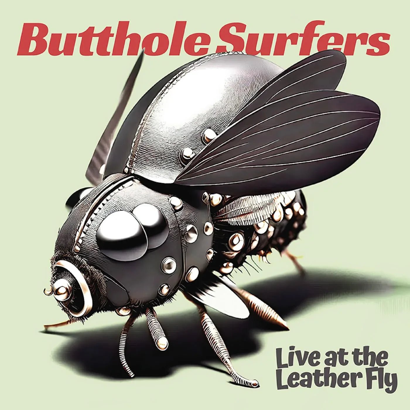 Butthole Surfers - Live At The Leather Fly (Limited Edition, Pink Vinyl) (2 LP) - Joco Records