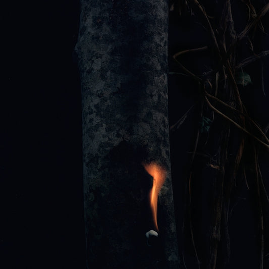 Bzdb - Jump Ship, Sit Lean, Be Still, Stand Tall