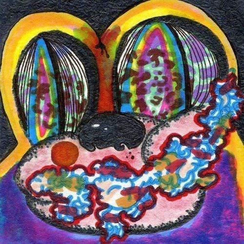 Cage The Elephant - Thank You, Happy Birthday (LP) - Joco Records