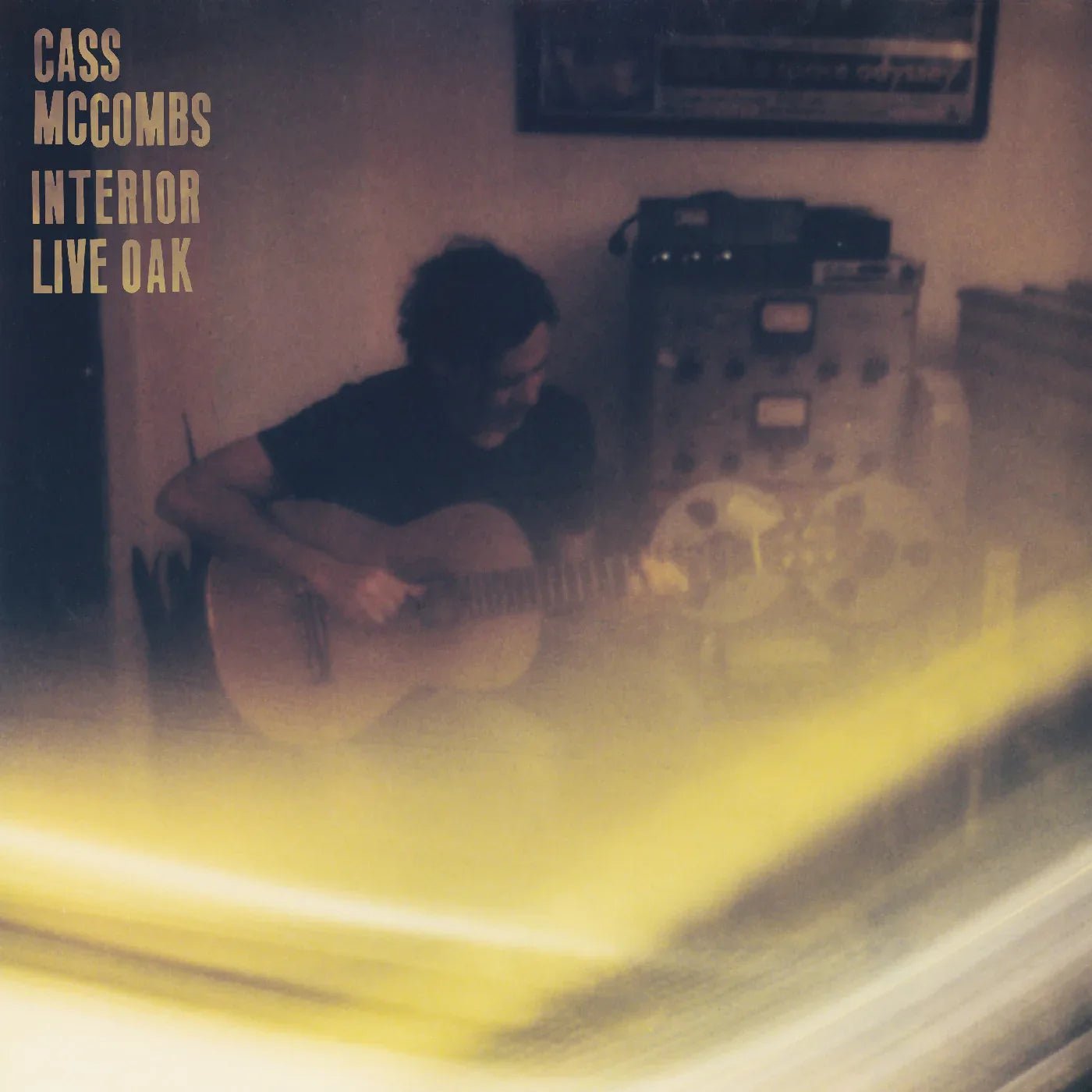 Cass McCombs - Interior Live Oak (2 LP) - Joco Records