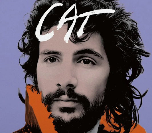 Cat Stevens - On The Road To Findout (2 LP) - Joco Records