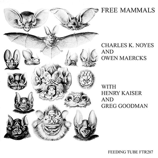 Charles K. Noyes And Owen Maercks With Henry Kaise - Free Mammals (Vinyl) - Joco Records