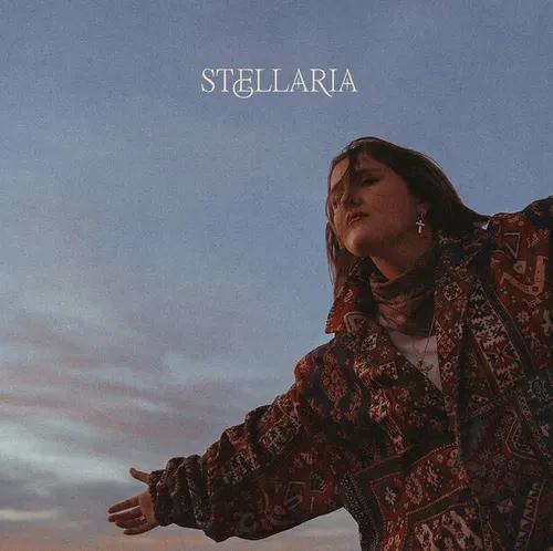 Chelsea Cutler - Stellaria (Explicit) (Indie Exclusive, Color Vinyl) (2 LP) - Joco Records