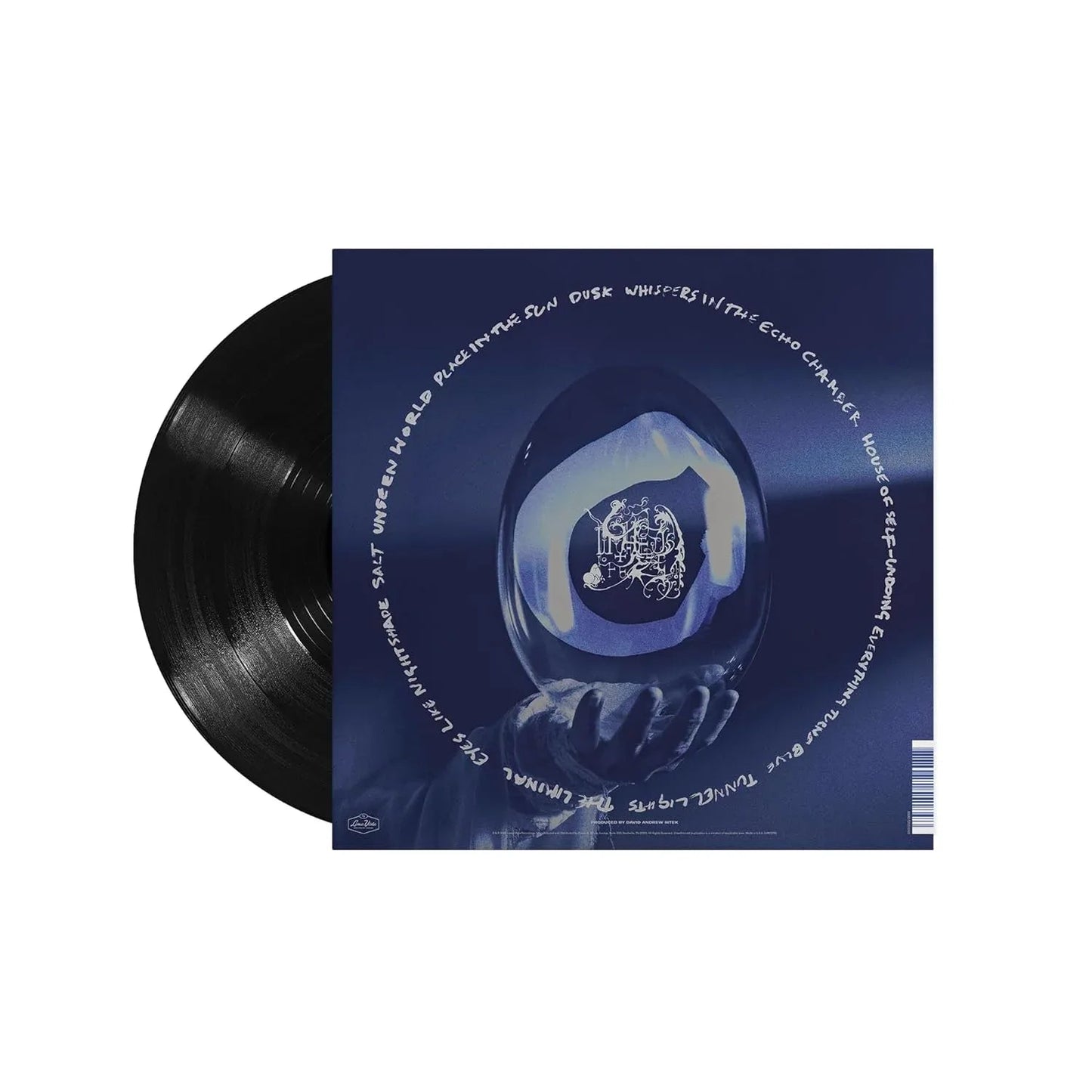 Chelsea Wolfe - She Reaches Out To She Reaches Out To She (LP) - Joco Records