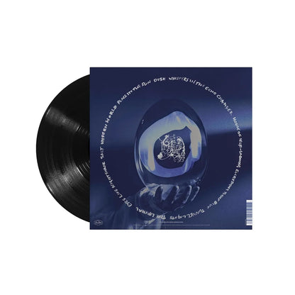 Chelsea Wolfe - She Reaches Out To She Reaches Out To She (LP) - Joco Records