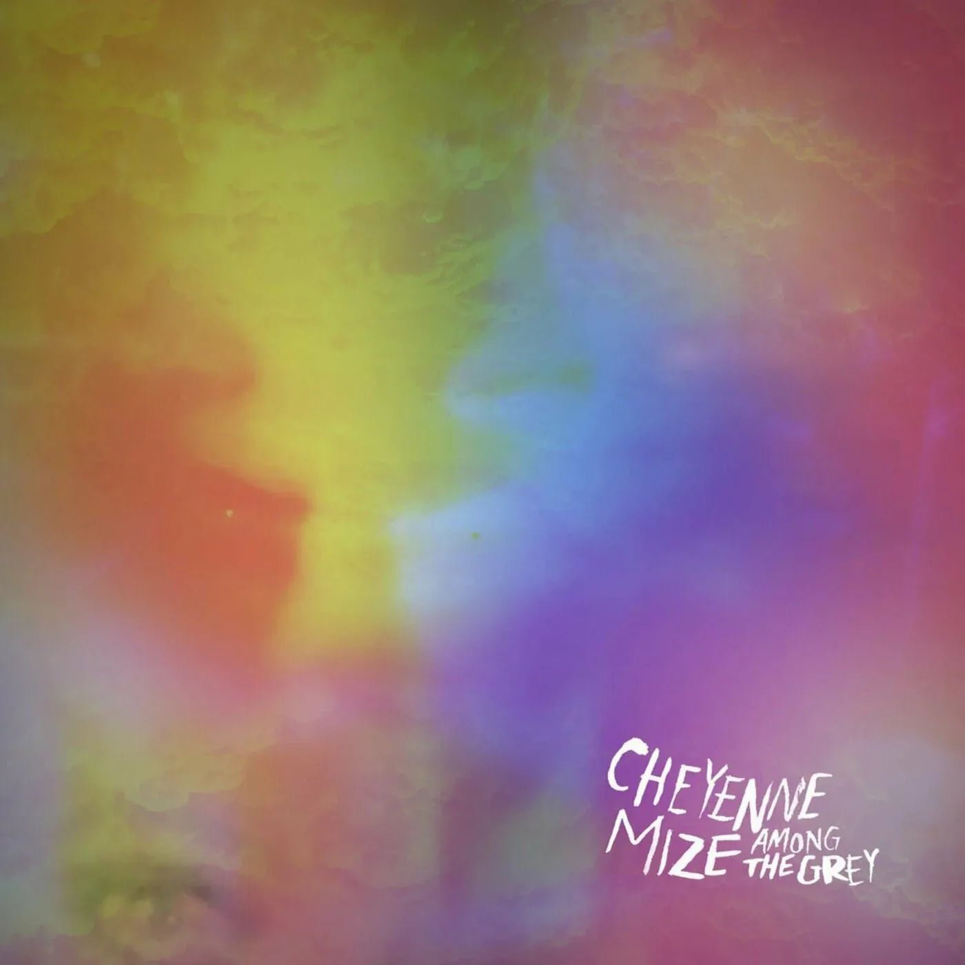 Cheyenne Mize - Among The Grey (Vinyl) - Joco Records