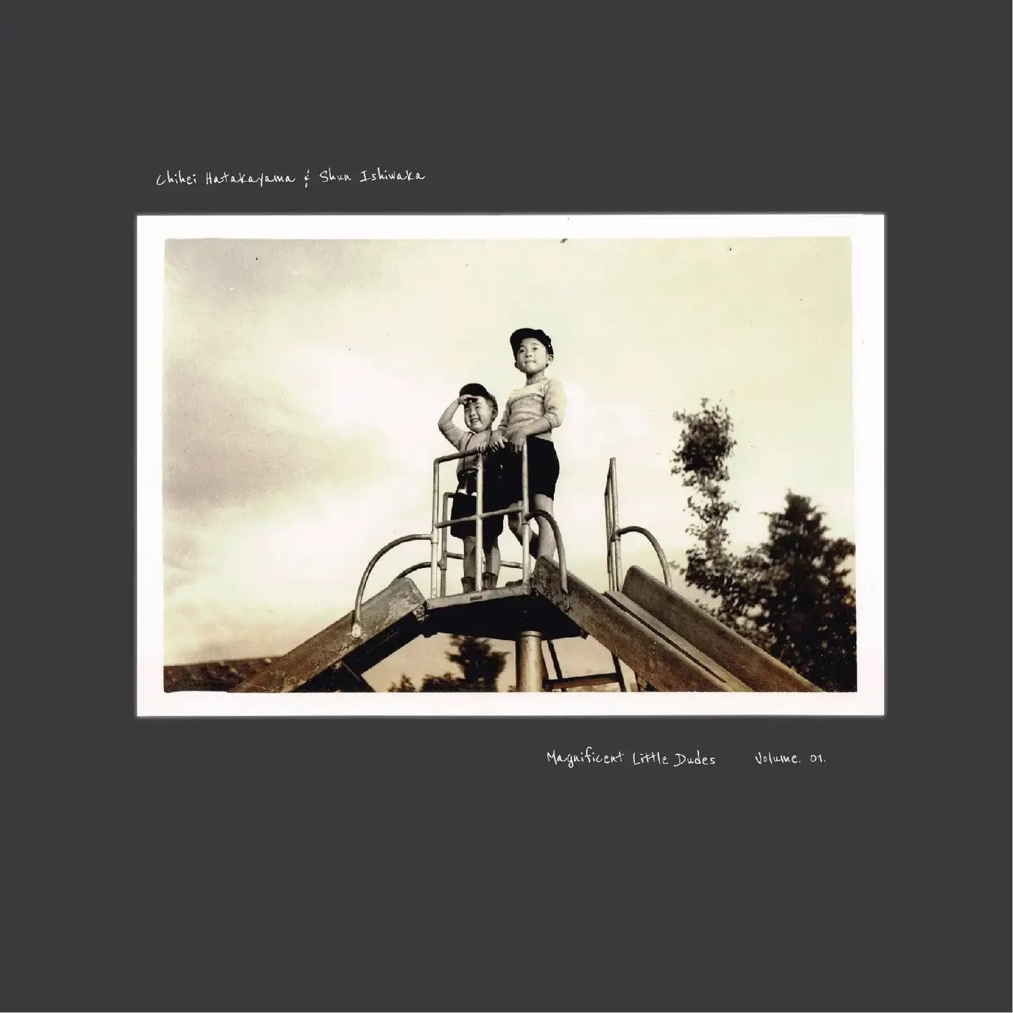Chihei Hatakeyama & Shun Ishiwaka - Magnificent Little Dudes Vol.1 (Vinyl) - Joco Records