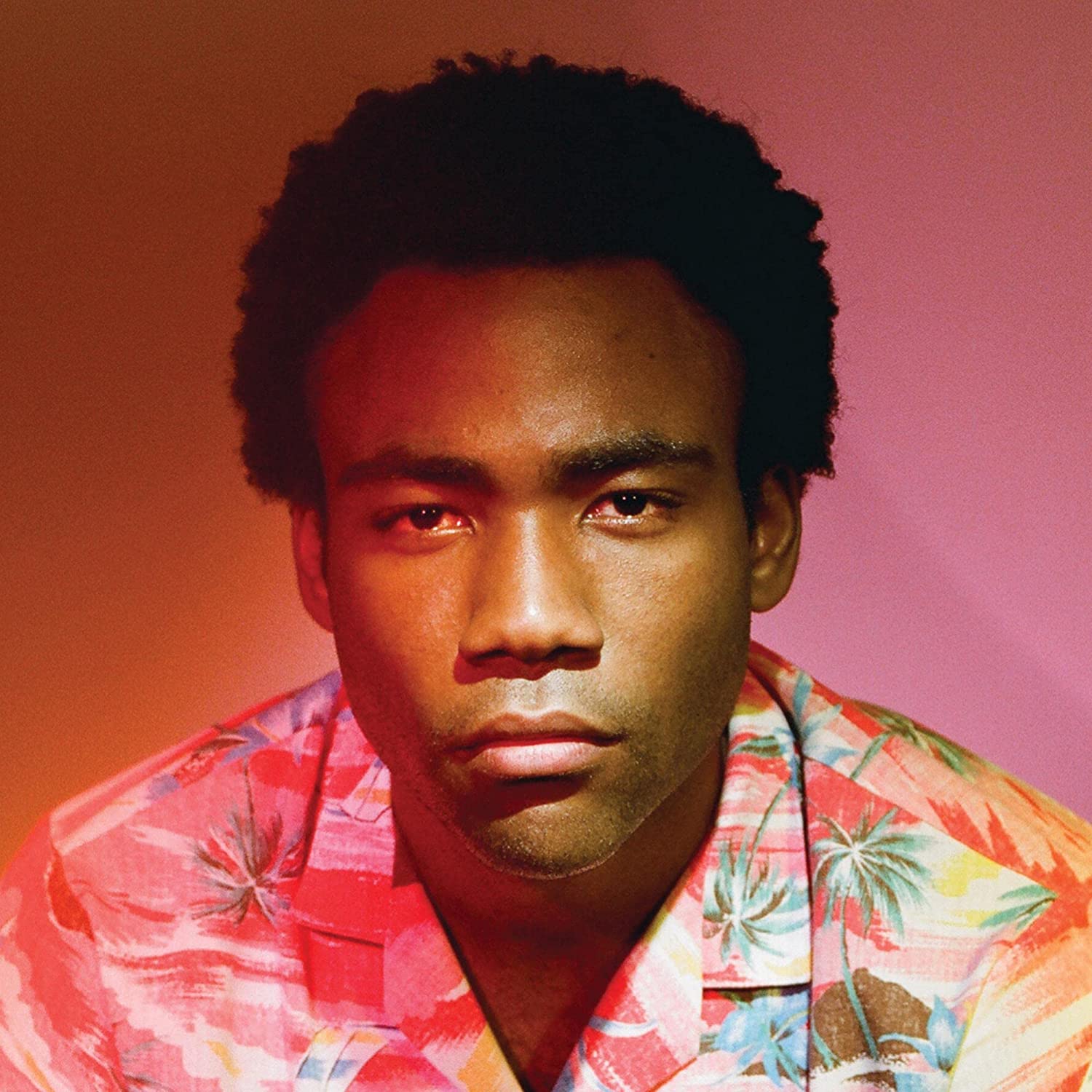 Childish Gambino - Because The Internet (180 Gram) (LP) - Joco Records
