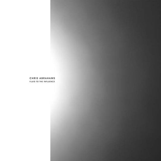 CHRIS ABRAHAMS - Fluid To The Influence